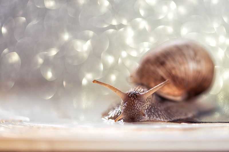 Зимний сонphoto preview