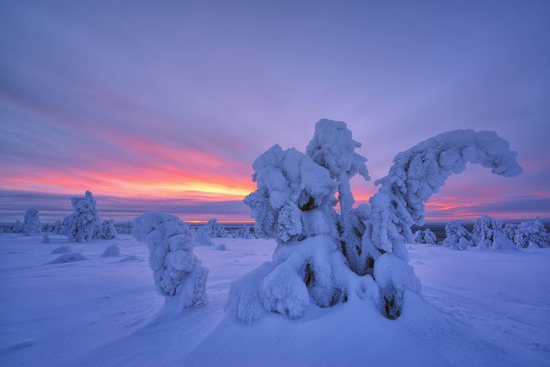 Скромные рассветы Лапландииphoto preview