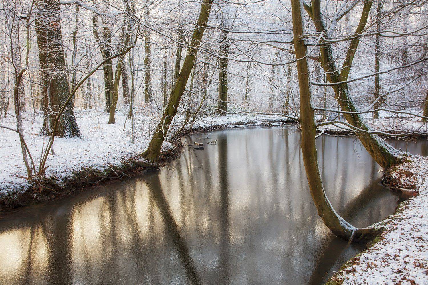 , Игорь Дубровский