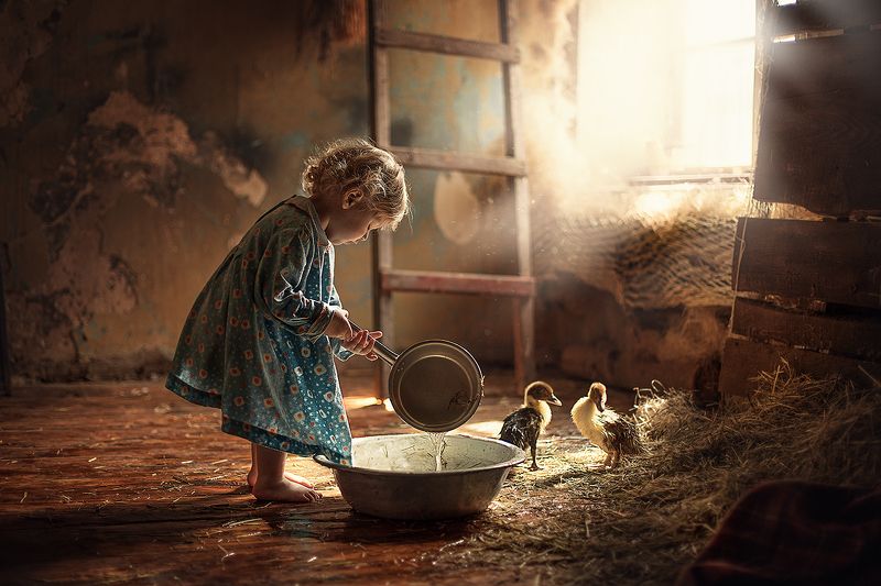 Как мы гусят купалиphoto preview