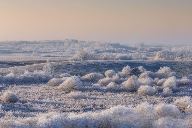 Morningphoto preview