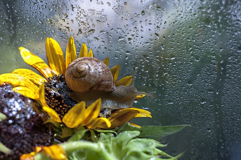 Путешественница...photo preview