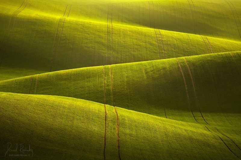 Czech Republic, Bohemia, Czech, South moravia, Moravia, Moravian tuscany, Tschechische Republik, Südmähren, Mähren, Europe, trees, spring trees, green, evening field, spring field, morning, waves, landscape,  Moravian carpetphoto preview