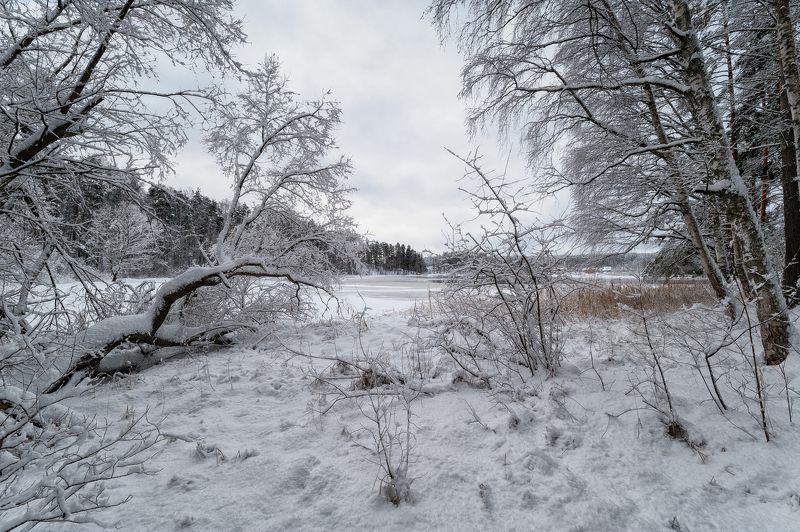 зима,снег,лед,река,вуокса,картина,берега,пейзаж Зима рисует снежные картины фото превью