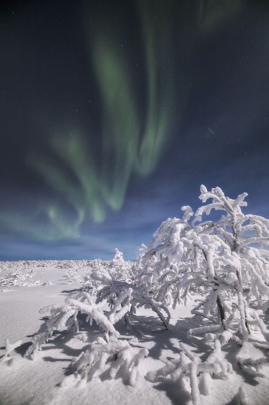 Автографphoto preview