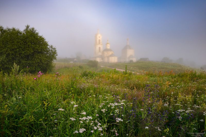 рязанская область, касимовский район, гусь, ока, храмы, лето, туман, летнее утро, утренний пейзаж, русский пейзаж, разнотравье, цветочный луг, луг \