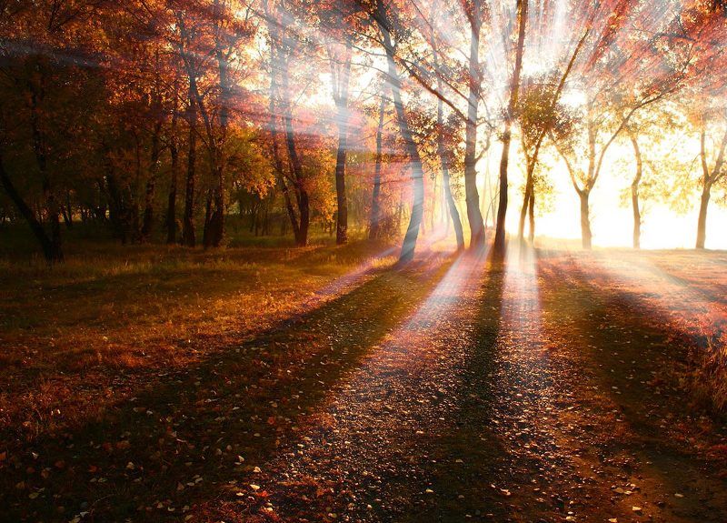 осень, лучи, солнце Портал.photo preview