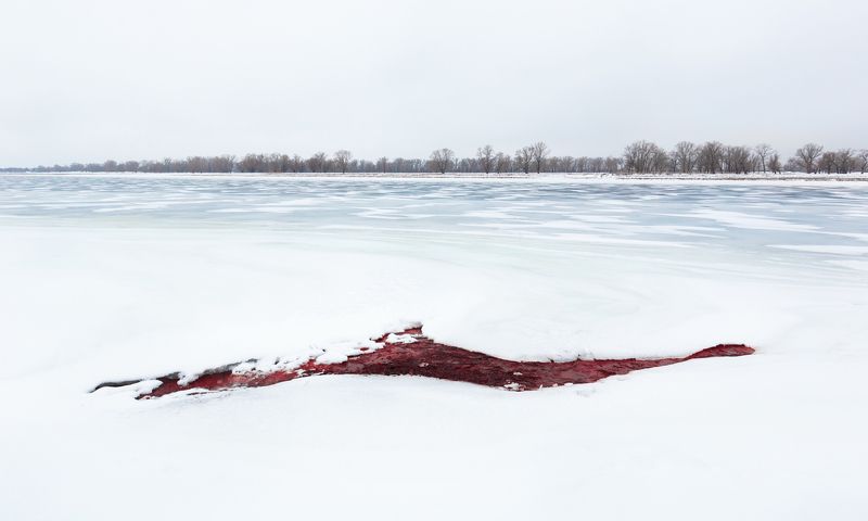 Рана Землиphoto preview