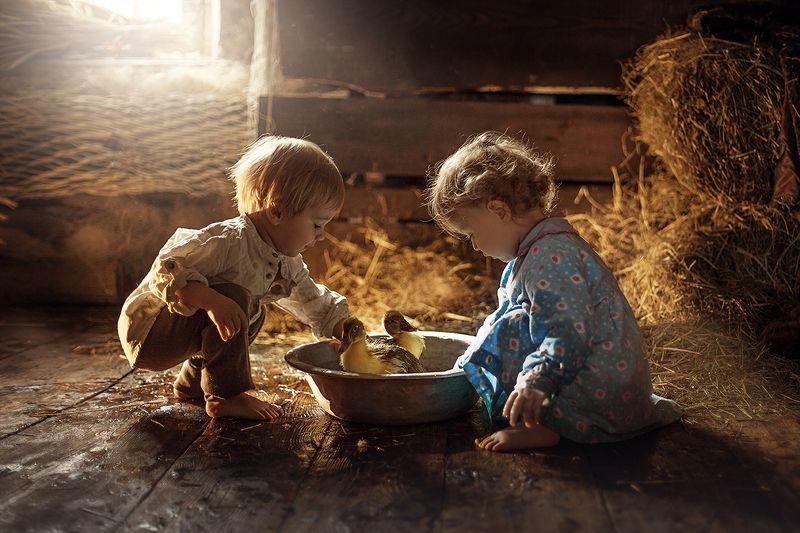 малыши, дети, утята, пасха, купание, игра Малышиphoto preview