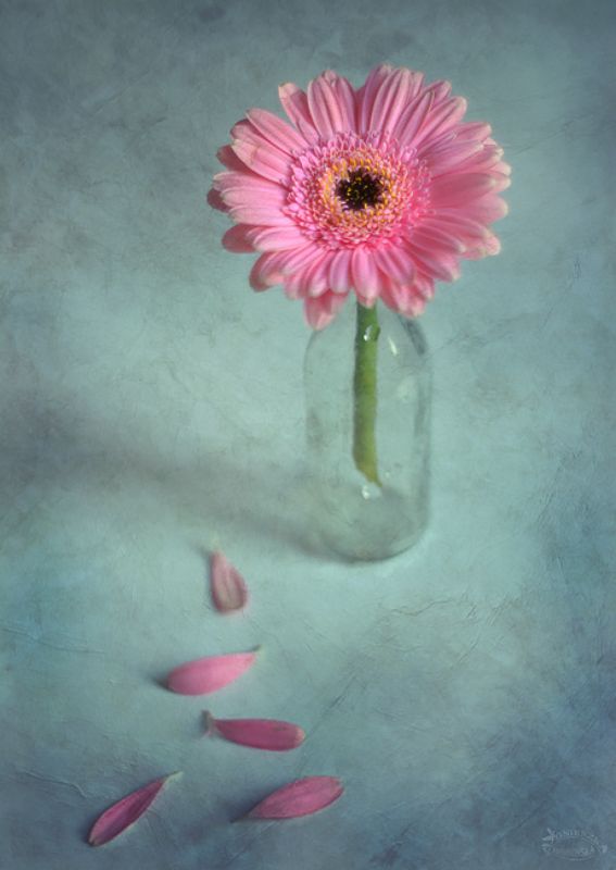 Cztery pory roku - Wiosnaphoto preview