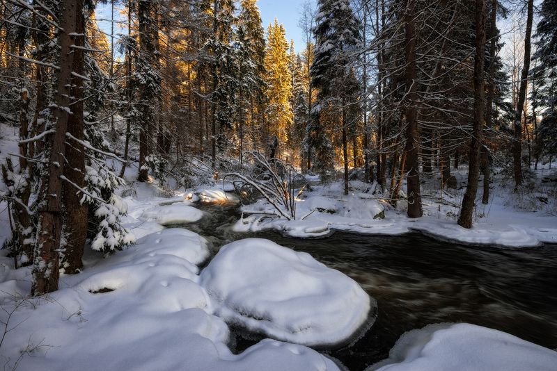 зима,снег,лед,река,поток,снег,свет,берега,пейзаж,лес Лесной реки студеные потоки фото превью