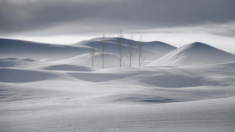Iceland, winter, trees Stillness of Icelandic winter wonderlandphoto preview