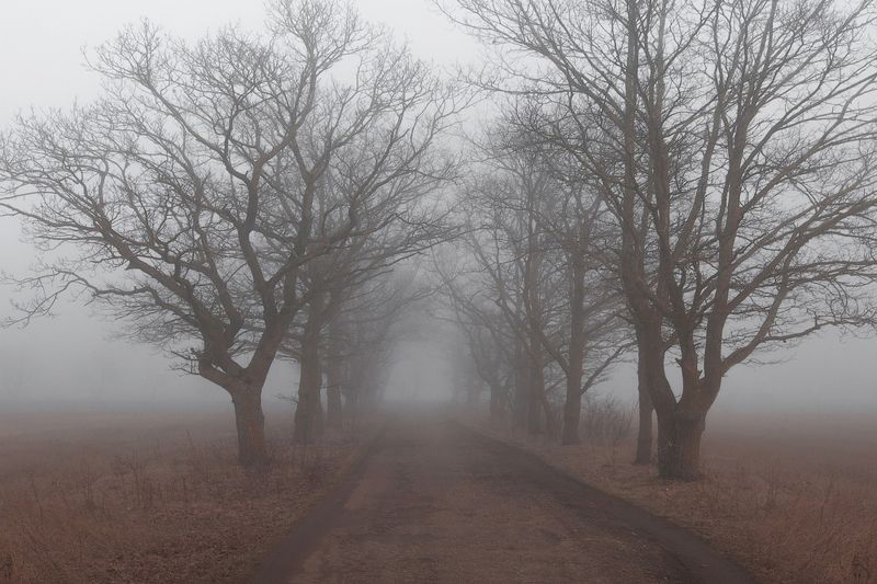 Удрияphoto preview