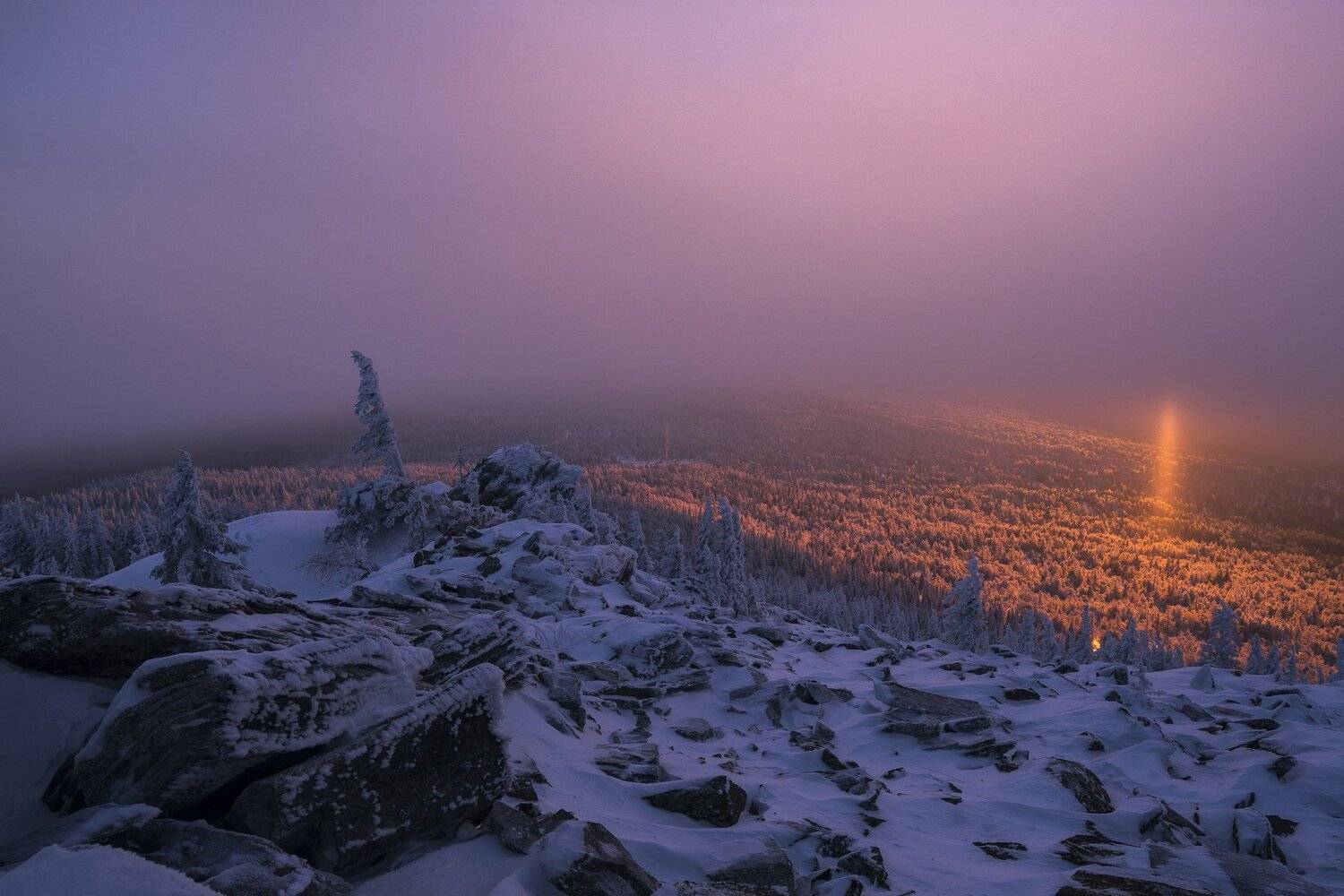, Андрей Шарапов
