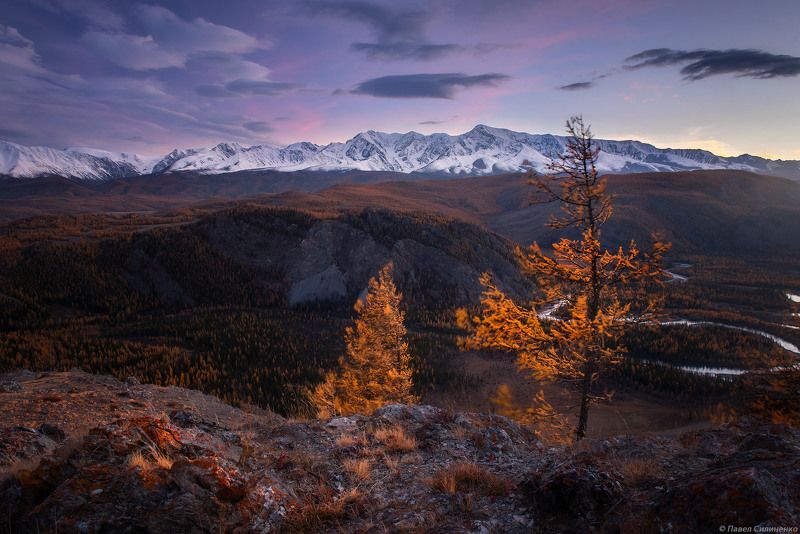 пейзаж, осень, лес, свет, солнце, желтый, алтай, горы, закат Таджилу фото превью
