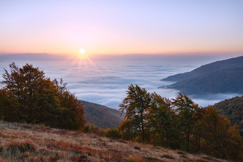 карпаты, боржава Карпатское мореphoto preview