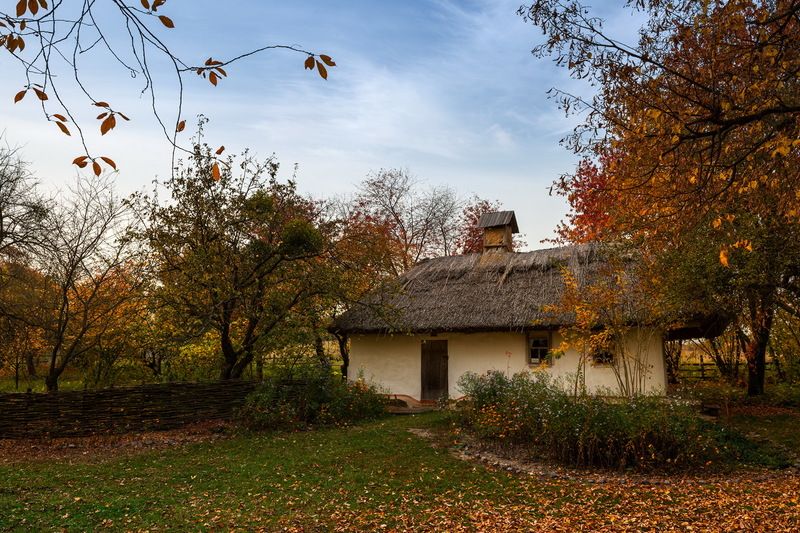 село, музей, пирогово, осень, октябрь, вечер когда птицы улетают на югphoto preview