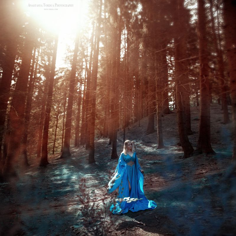 сова,лес,эльфы,эльф,платье,солнечныелучи,осень,сказка,тордуа Лесные жителиphoto preview