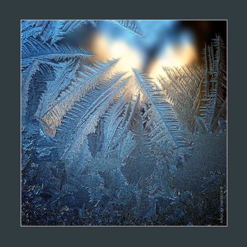 макро, мороз графика мороза 6. 2019photo preview