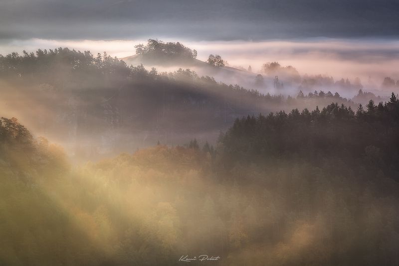 Misty morningphoto preview