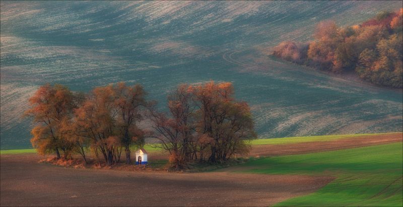 южная моравия,пейзаж,hils,часовенка, св.варварa,линии,chapel,south moravian,lines,свет,czech,осень,чехия,landscapes. The chapel фото превью