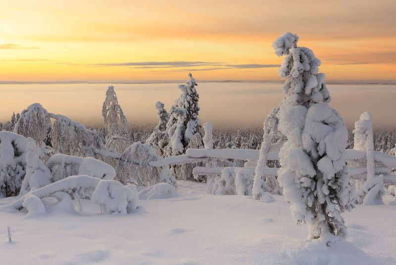 Я постелю тебе под ноги небоphoto preview