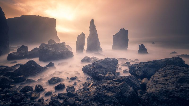 Iceland, Reykjanes The birdphoto preview