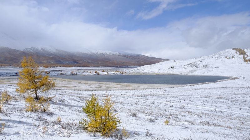 Ештыкельphoto preview