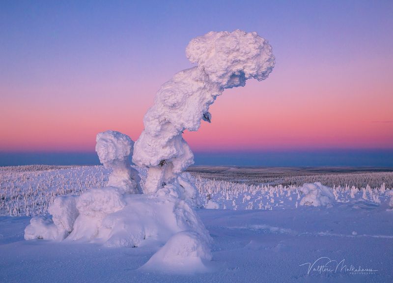 Лапландия фото превью