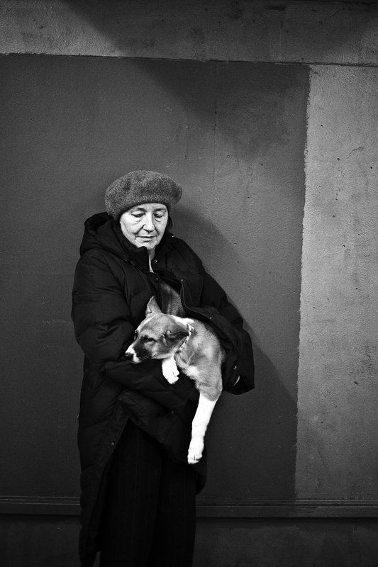 Выше носphoto preview