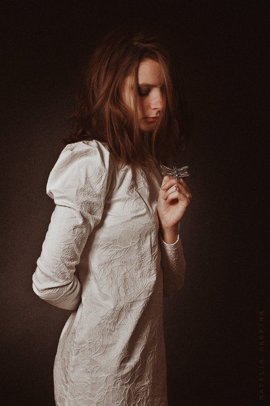 dragonfly, dream, vision, touch, madness Dragonflyphoto preview