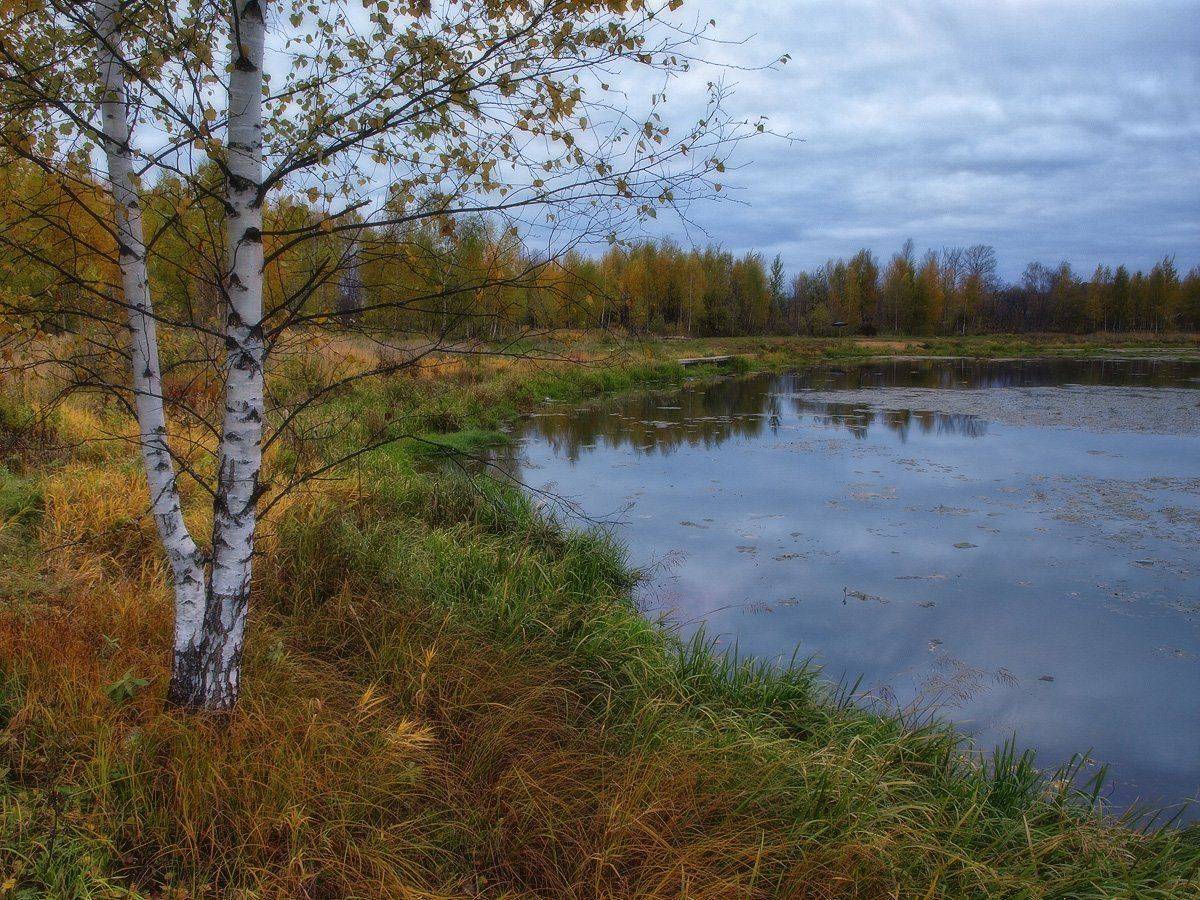 , Марина Брыдня