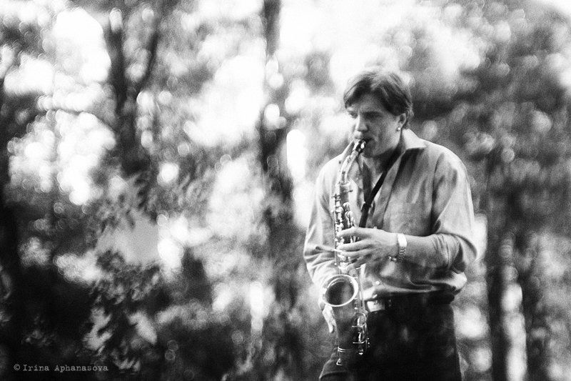 лесной джазphoto preview