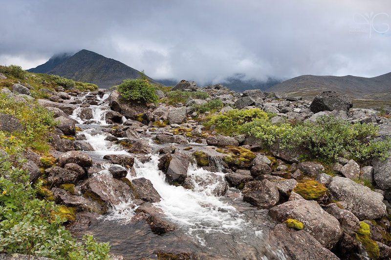 хибины, заполярье, горы, ручей, поток, ферсмана, меридиональный, каскад, водопад Ручейки Заполярьяphoto preview