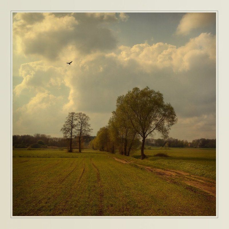 пейзаж банально-весенний пейзажphoto preview