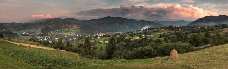 The Wellphoto preview