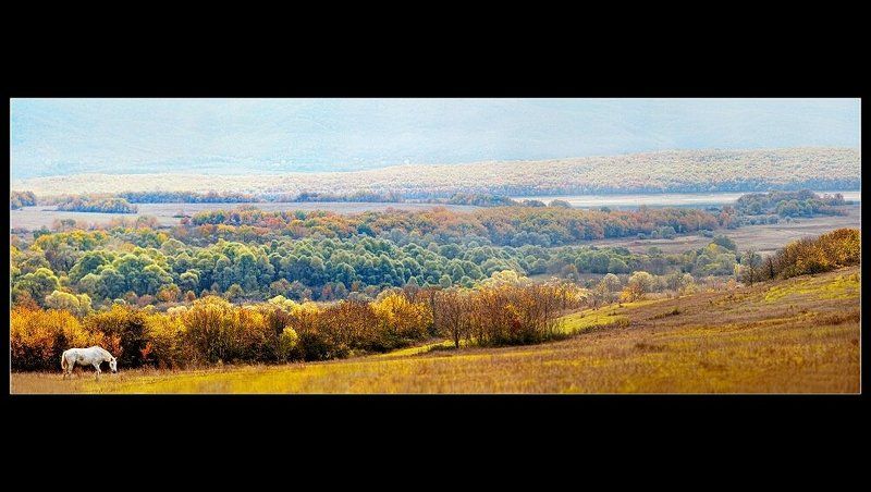 осеннееphoto preview