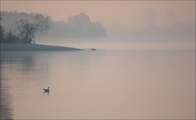 Melody of quietphoto preview
