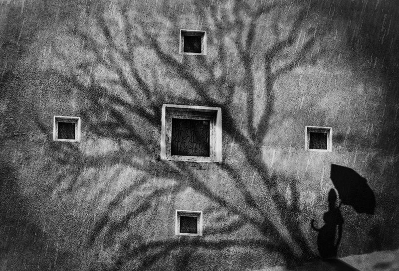 ...в Макондо идет дождь...photo preview