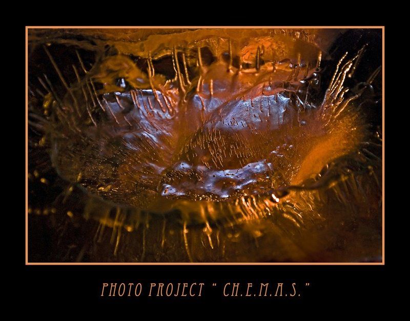 фото, проект, chemas, природа photo preview