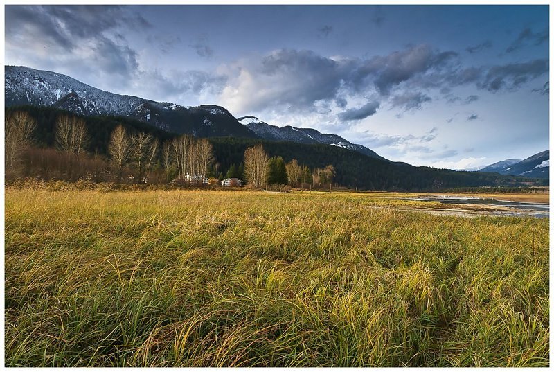 Травостойphoto preview