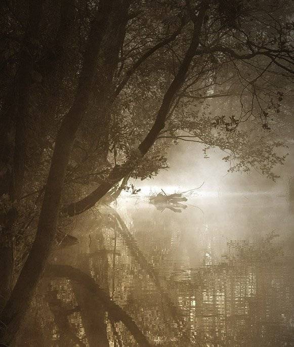 Утро начинается здесь. Автор: Александр , Александр