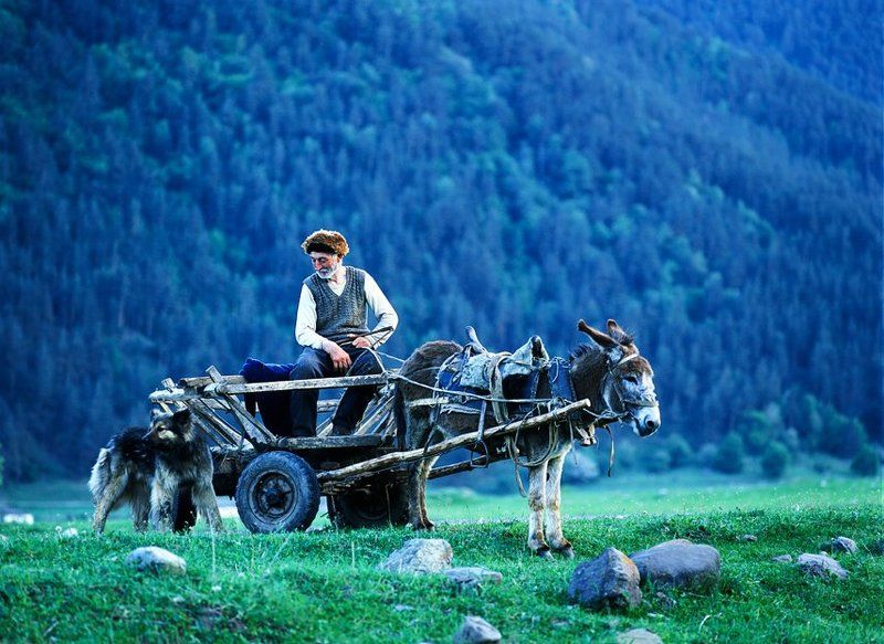 Дедушка из Тебердыphoto preview