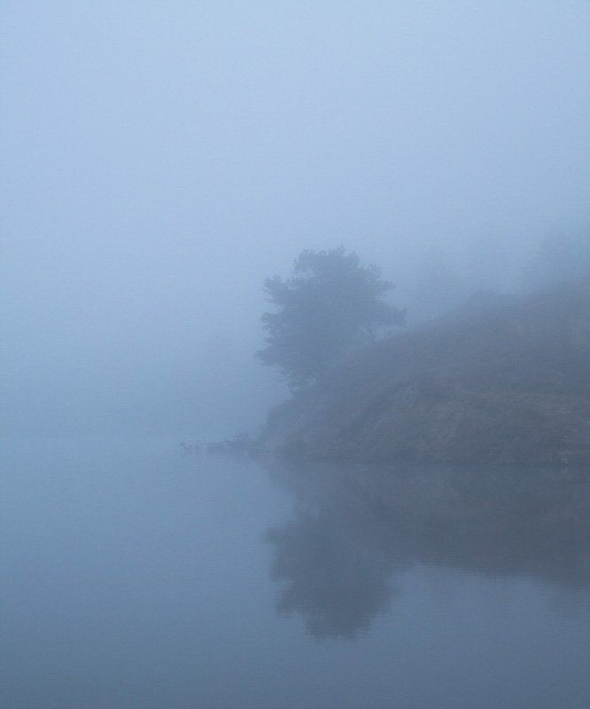 ЁЖИК В ТУМАНЕphoto preview