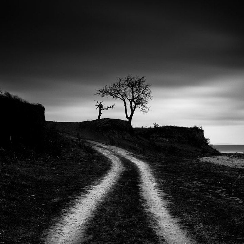 пейзаж, чб, моно *photo preview