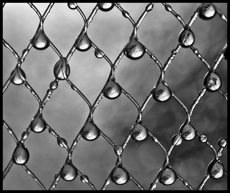 капелькоманияphoto preview