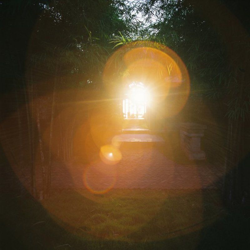 Early sunnyphoto preview