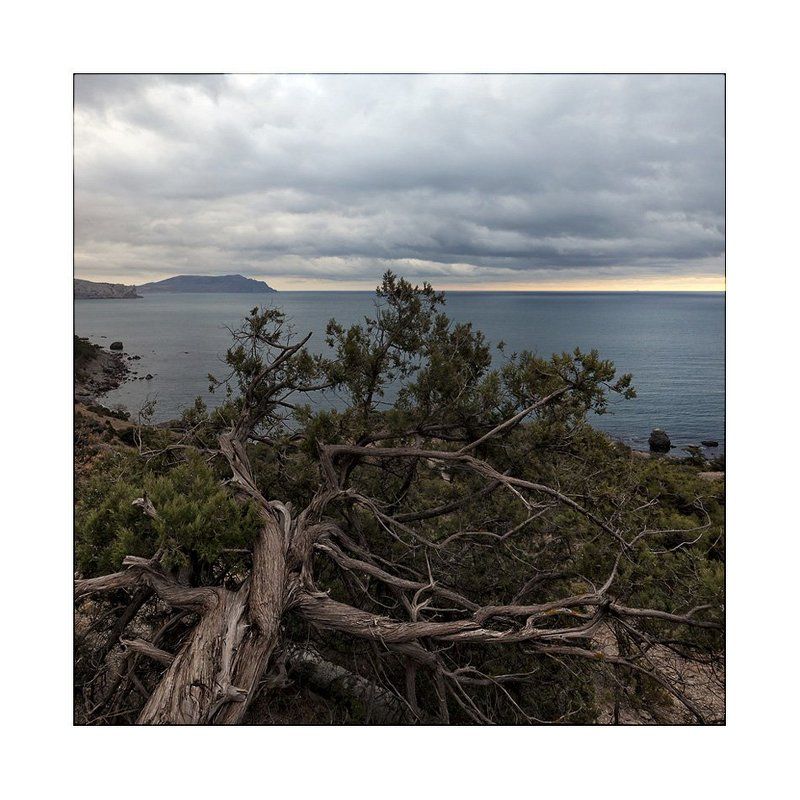 Новосветское...photo preview