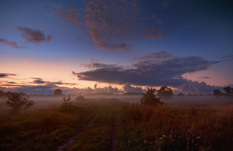 сумерки Сумерки фото превью