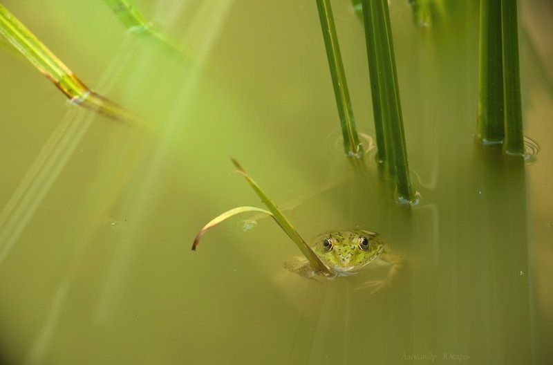 Пожарный с багромphoto preview